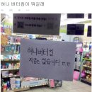 허니펫 이미지