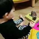 통통통 이미지