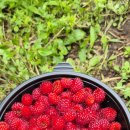 금반농장 이미지