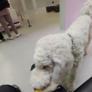 구하우스 미술관 이미지