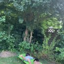 은아준농장 | [독일생활]담장 너머 꽃 피는 우정💚