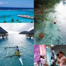 모레아갤러리 | 쪽빛 바다에 떠 있는 낙원 tahiti