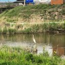 예직교회 개방화장실 이미지