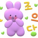 연산소머리 이미지
