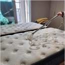 12호우리세탁 | 아산매트리스청소, 클린메이커 덕분에 새집처럼 변신한 우리 집 거실 리얼후기 🛋️✨