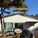 경산대구관광펜션 | 대구 근교 경산 애견펜션 독채 추천 | 아이피댕
