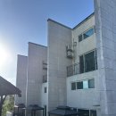 조아라 팬션 | 안산 시흥 여행 수영장 있는 대부도 조아라펜션 내돈내산 후기