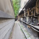 협진식당 이미지