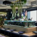강남이색카페 &#39;슬로우커피&#39; 대형 비바리움에 감탄하고 온 후기...!