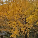 함안향교 이미지