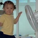 신기어꿈 이미지