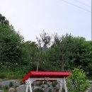 음성여자중학교 이미지