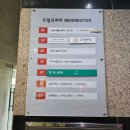 은행나무사진관 | 임신28주차 29주차 인천 셀프 만삭촬영 후기 나무사진관
