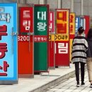 적성공인중개사사무소 이미지