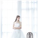 웨딩크라우드 - 강남구 학동로 311 | 웨딩크라우드