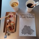 틸라 지하(THILA JIHA) | [전시] SPECTRAL PLATEAUS 관람 (오프닝 데이 참석) 후기 (Impulse Response 협업)