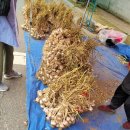 대야시장 이미지