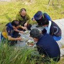 사선대황토펜션 이미지