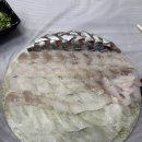 황대포 | 강원도 속 초 대포항 맛집 발견 쥐치·우럭·고등어 회 제대로 먹고 온 후기