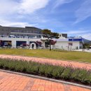 허브밸리(전망대) 이미지