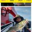 파워호 이미지