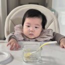 꿀꺽소리 | 릿첼 AQ 첫걸음 머그 빨대컵 6개월 아기 사용 후기 · 식세기 열탕 UV소독