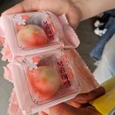 크리에이티브로컬 네이버블로그
