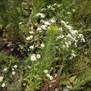 이건농장 이미지