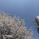 토템 | 더현대 토템 매장 추천 후기