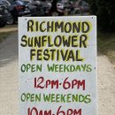 해바라기집밥 이미지