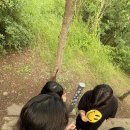 제주도게스트하우스 함덕주택 이미지