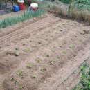 갑천농장 이미지