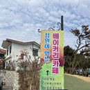 몽산포주차장 | 태안 베이커리 카페 몽산포제빵소 몽산포해수욕장 근처!