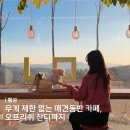 서동카써비스 | 횡성 카페 추천, 강아지 무게 제한없는 애견동반 카페