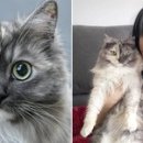 반반헤어