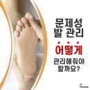 레푸스서초교대역점 | 발의 건강과 아름다움을 위한 전문 발관리 매장, 서초내성발톱 레푸스 서초교대역점