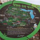 천년숲 이미지