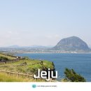 부남교회 옆 | 제주 송악산 둘레길, 방주교회 사진찍기 좋은곳!(+시간)