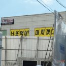 청년피자성주점 | 민주적 기본질서 위배란 민주적 기본질서에 대한 단순한 위반이나 저촉을 의미하는 것이 아니라 정당의...