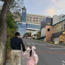 수성가 | 대구 뷔페 호텔수성 레스토랑 포시즌스 내돈내산 추천메뉴 솔직후기