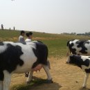 우리사슴목장 이미지