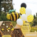 마몽드 카카오 검색결과