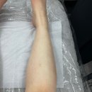 더 데일리 왁싱