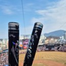 14 | [3/14,15] KBO 시범경기 직관 후기!_한화생명볼파크_413구역,400구역 탁자석