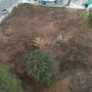 랜드고도람공인중개사사무소 이미지