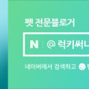 사근절길 이미지