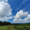 한라산둘레길 천아숲길 | 제주올레트립 한라산둘레길 트레킹 인솔 후기 (25년 9월/배효진 인솔자)