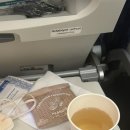 타쉬켄트 | [우즈벡항공] 우즈벡항공 인천-타슈켄트 비행 후기(feat. 우즈벡항공)