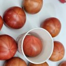 비옥상회 이미지