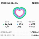 묵밥파티후아이들은각자집으로가허전함걷기운동으로달래고 14,649보11.21km만보인증을 이미지